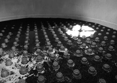 Interno-filtro-carboni-attivi Interno-filtro-carboni-attivi