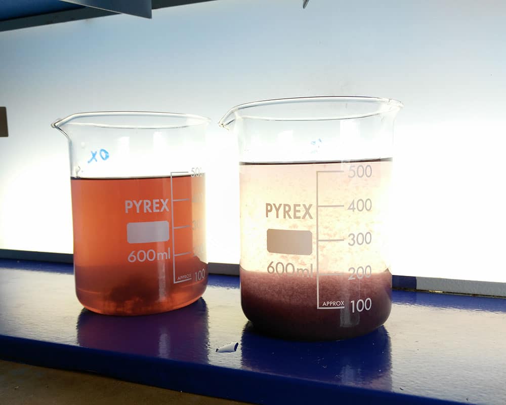 antischiuma-e-decoloranti